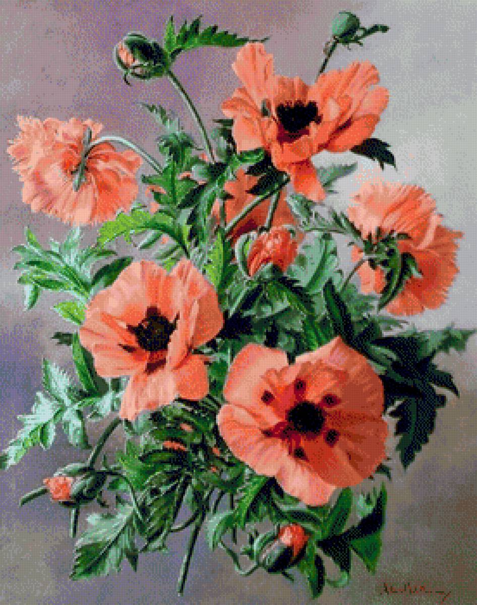 МАКИ - маки - предпросмотр