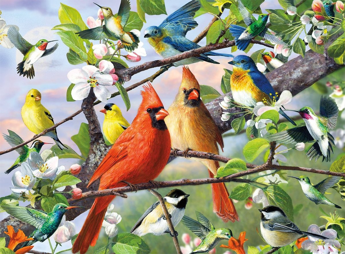 Птички - птицы, цветение, рисунок, природа, весна, птички, цвет - оригинал