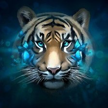 Тигр и бабочки