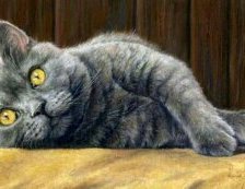 Схема вышивки «Котик»