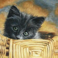 Схема вышивки «Котенок»