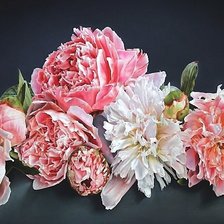 Схема вышивки «пионы»