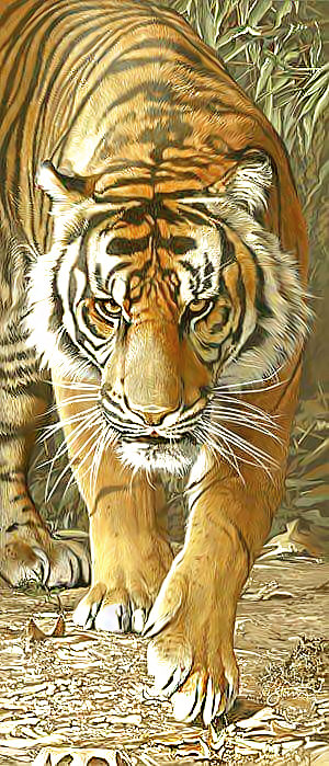 Серия "Хищники". - хищники, животные - оригинал