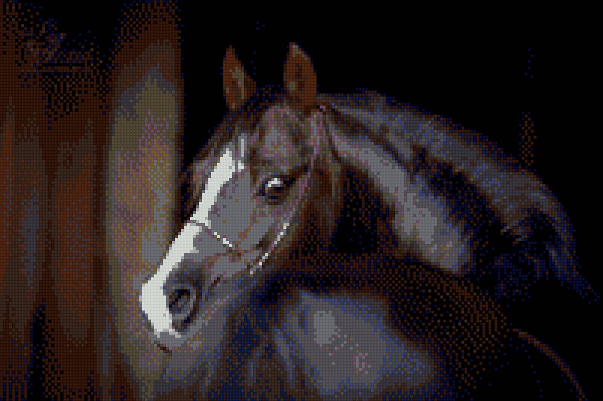 Обернувшаяся лошадка - взгляд, лошади, конь, лошадь, кони - предпросмотр