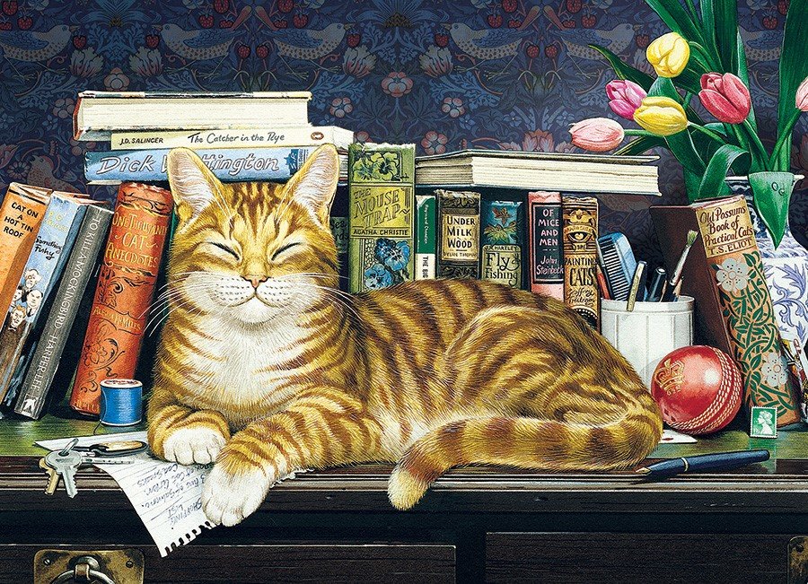 Спящий котик - кот, тюльпаны, цветы, котик, книги, животные, рисунок - оригинал