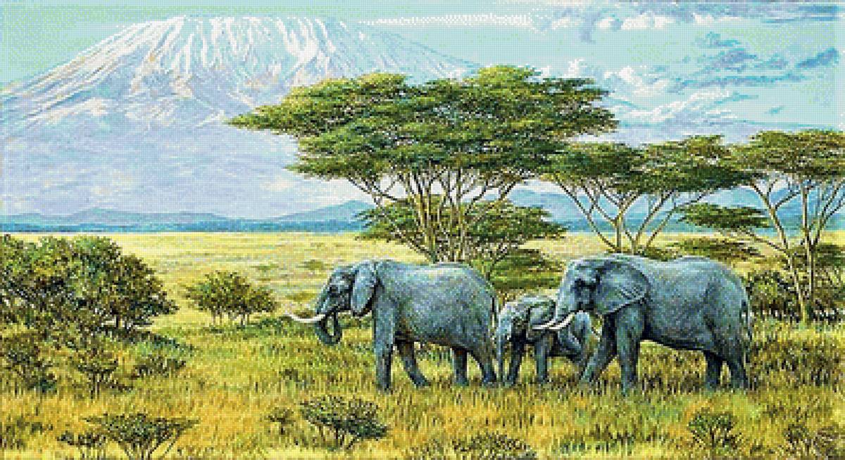 №1902695 - слоны - предпросмотр