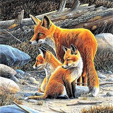 Схема вышивки «№1902704»