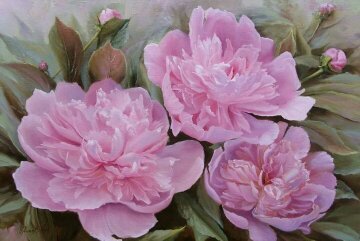 Пионы - оригинал