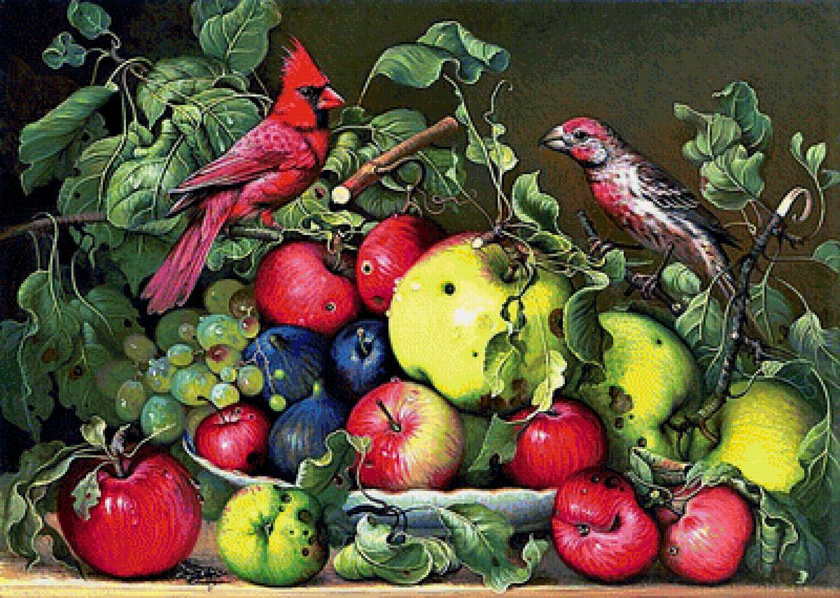 №1902848 - яблоки - предпросмотр