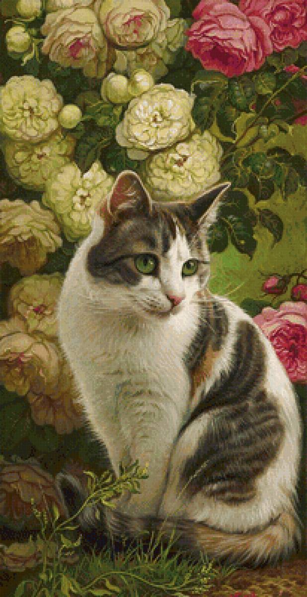 mačka - предпросмотр