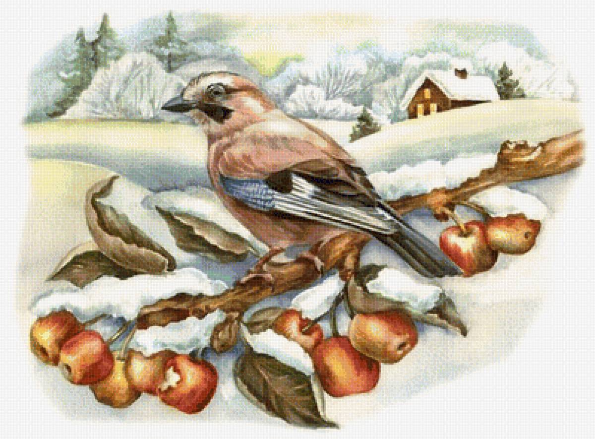 zima - предпросмотр