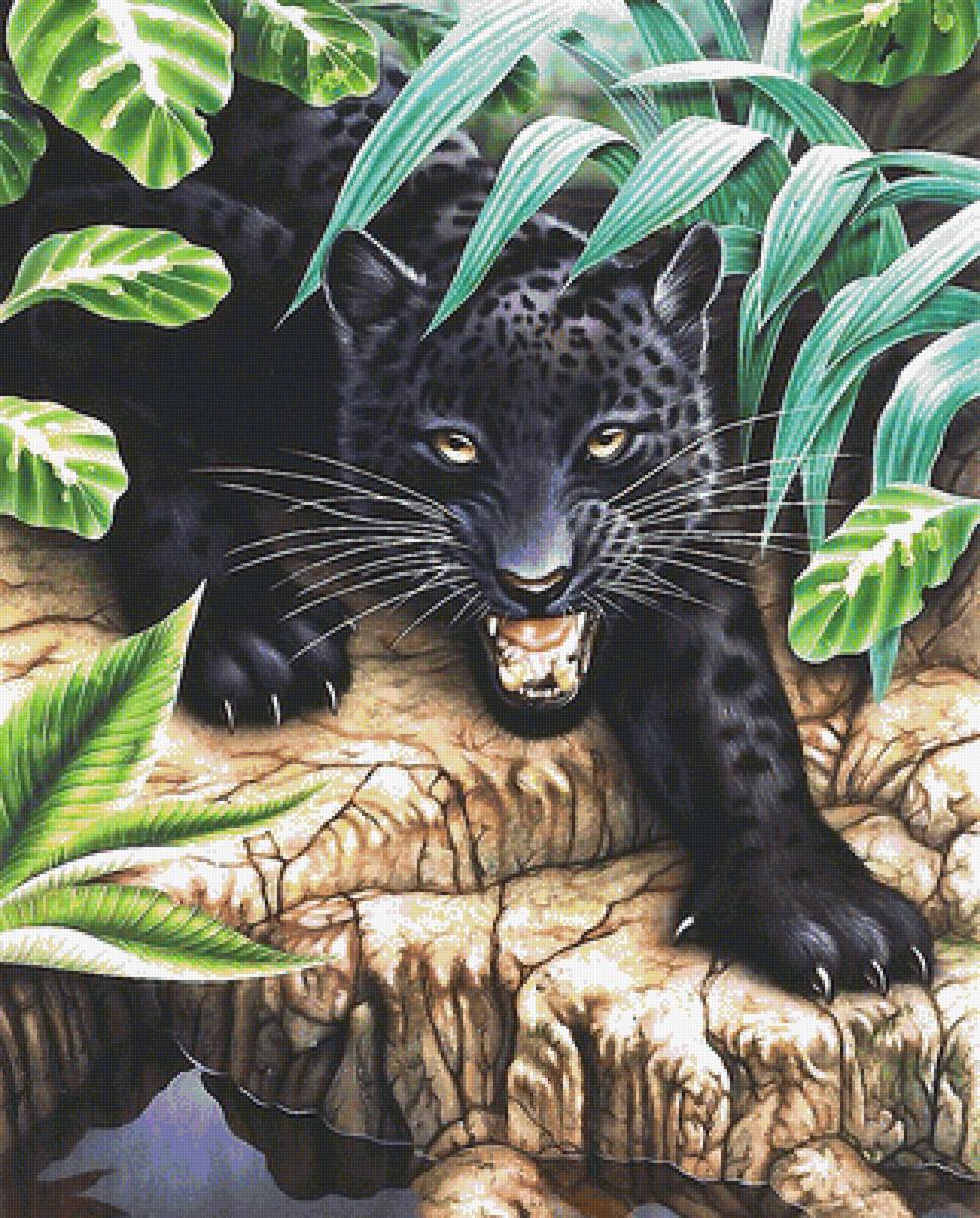 пантера - мир животных - предпросмотр