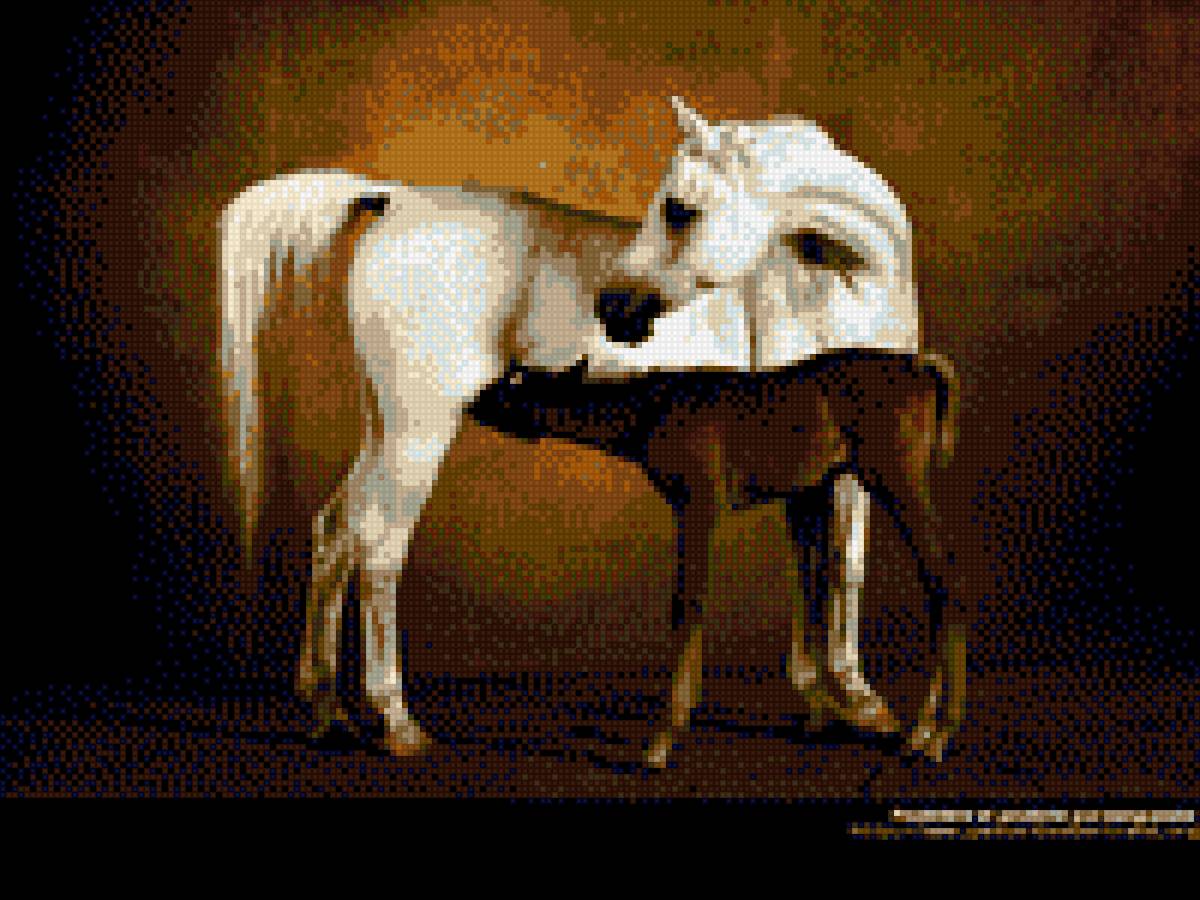 Арабская кобыла с жеребёнком - люблю лошадей, лошадь, жеребенок, порода, лошади, арабская - предпросмотр