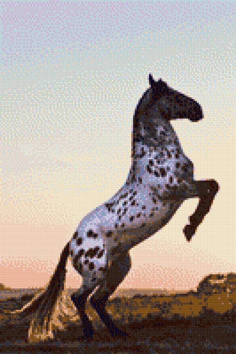 Кнабструп на закате - закат, лошади, лошадь, солнце, дыбы, порода, кони, конь - предпросмотр