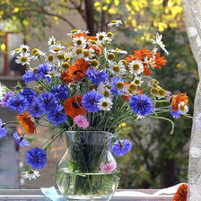 Схема вышивки «№1903135»