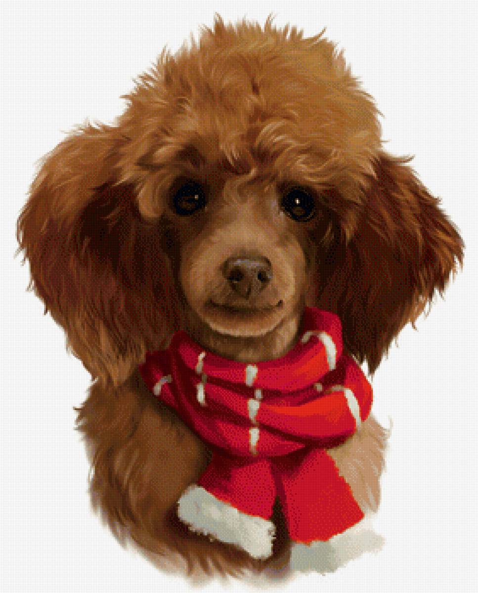Собачка в шарфике - рисунок, животные, собака, собачка - предпросмотр