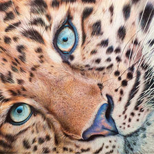 Схема вышивки «Леопард»