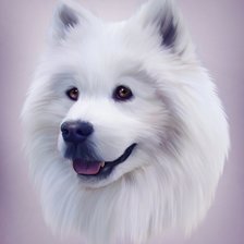 Схема вышивки «Белый пёс»