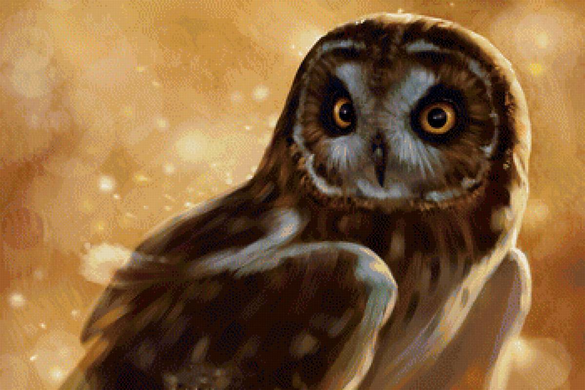 Сова - сова, птица, рисунок - предпросмотр