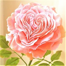 Схема вышивки «№1903943»