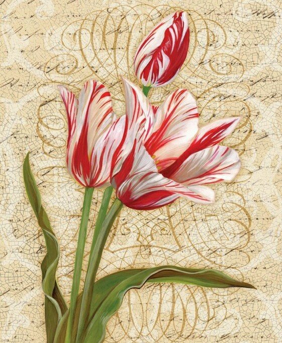 Тюльпаны - тюльпаны, рисунок, цветы - оригинал