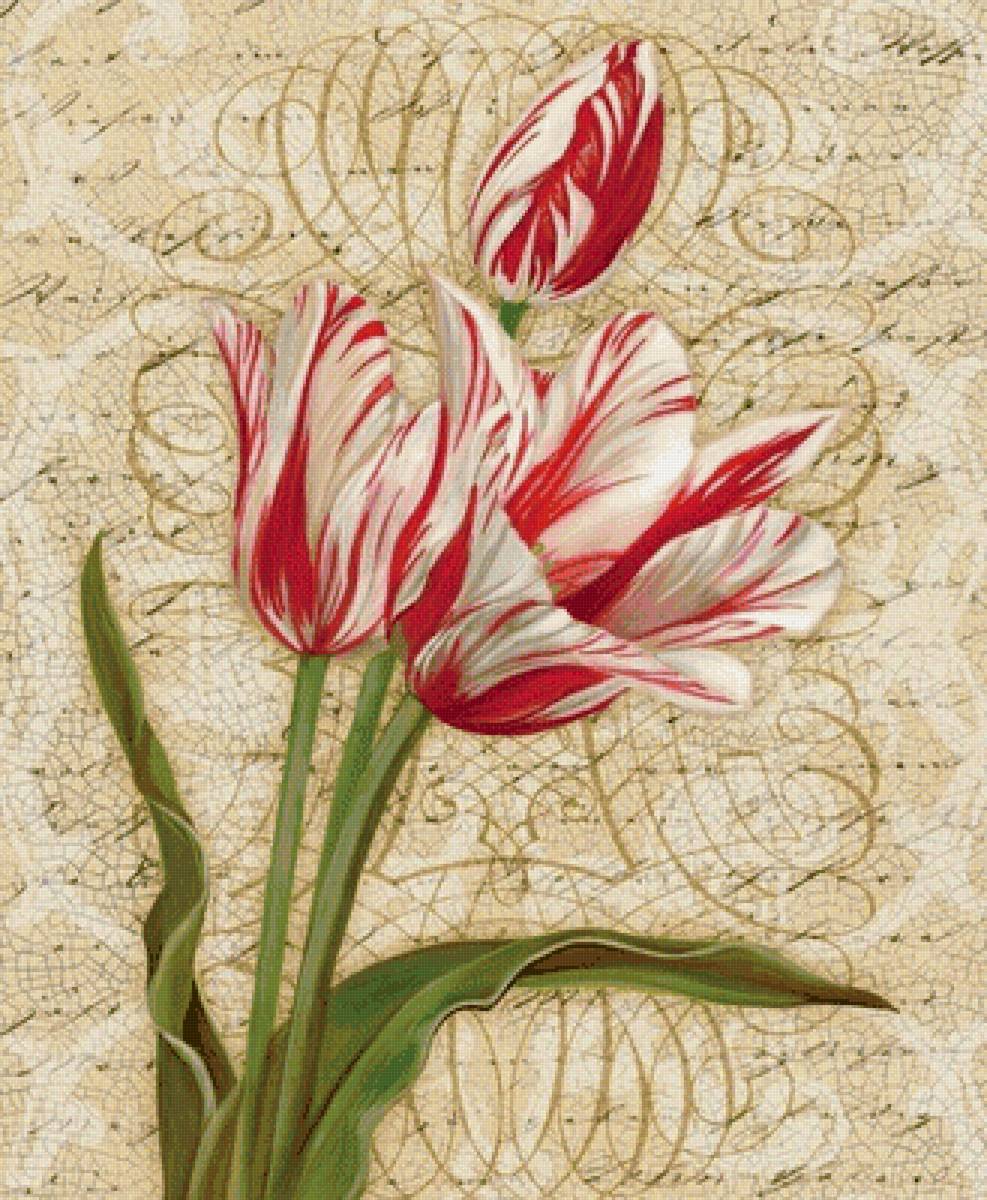 Тюльпаны - рисунок, тюльпаны, цветы - предпросмотр