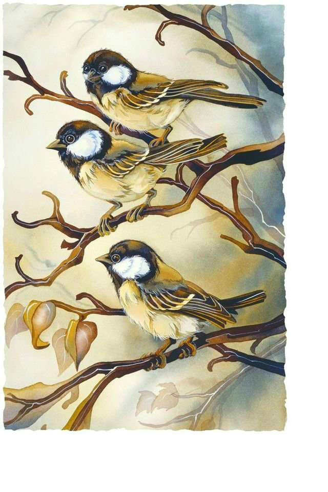 Воробьи - птицы - оригинал