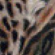 Предпросмотр схемы вышивки «Леопарды» (№1904877)