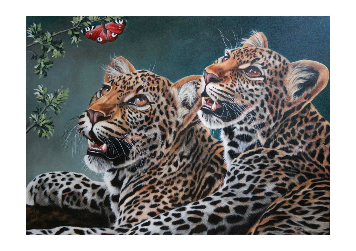 Леопарды - звери, животные - оригинал