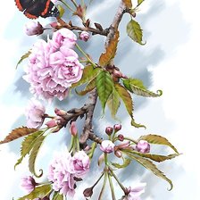 Схема вышивки «бабочка»