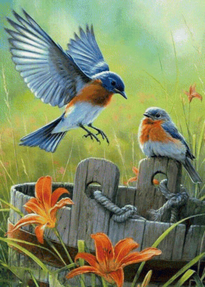 Птички - птицы лилии природа - предпросмотр