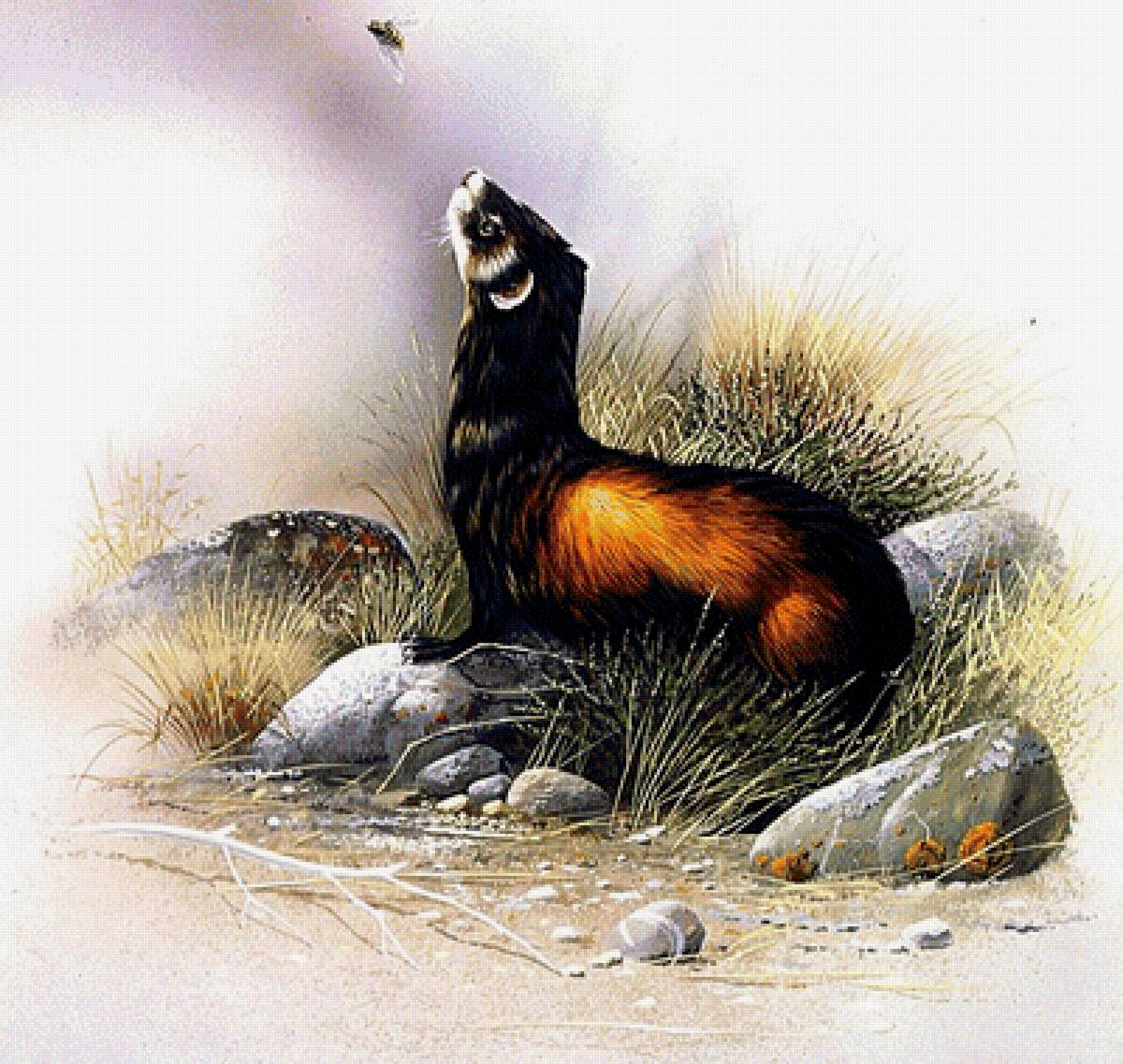 №1905151 - животные - предпросмотр