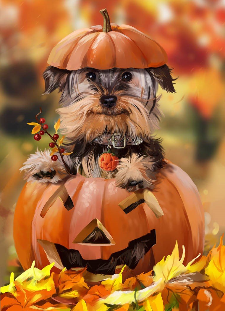 Тыковка - хэллоуин, рисунок, осень, щенок, тыква, собака, животные - оригинал