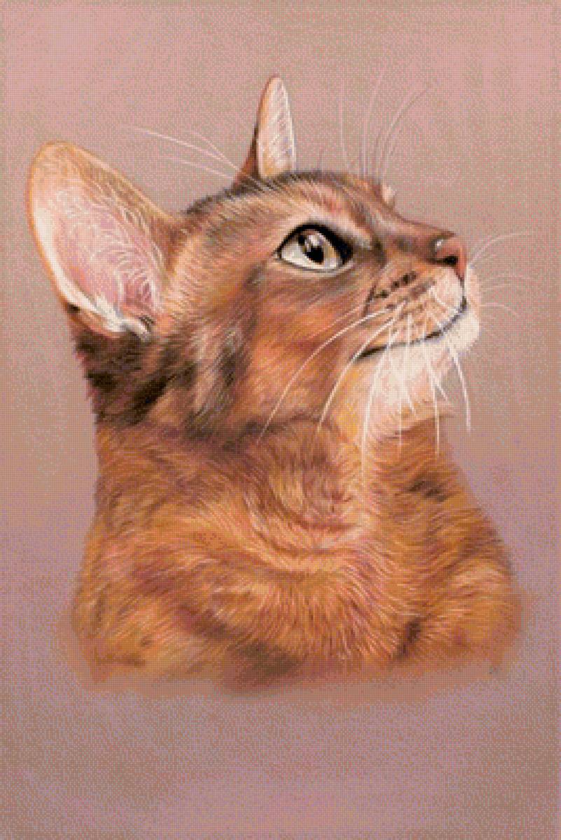 Котик - рисунок, кот, животные, котик - предпросмотр