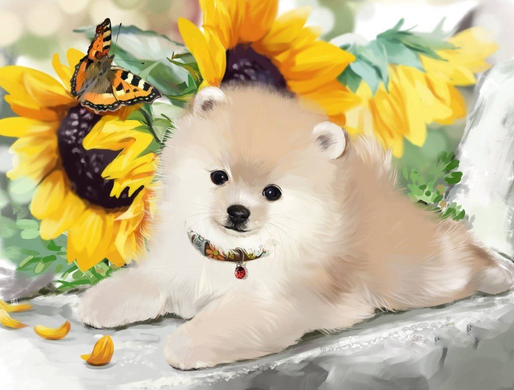 Щенок и подсолнухи - подсолнухи, рисунок, собака, щенок, животные, бабочка - оригинал