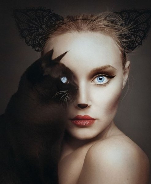 Кошка - оригинал