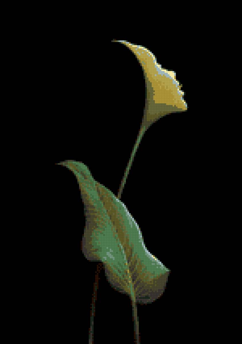 девушка-цветок - предпросмотр