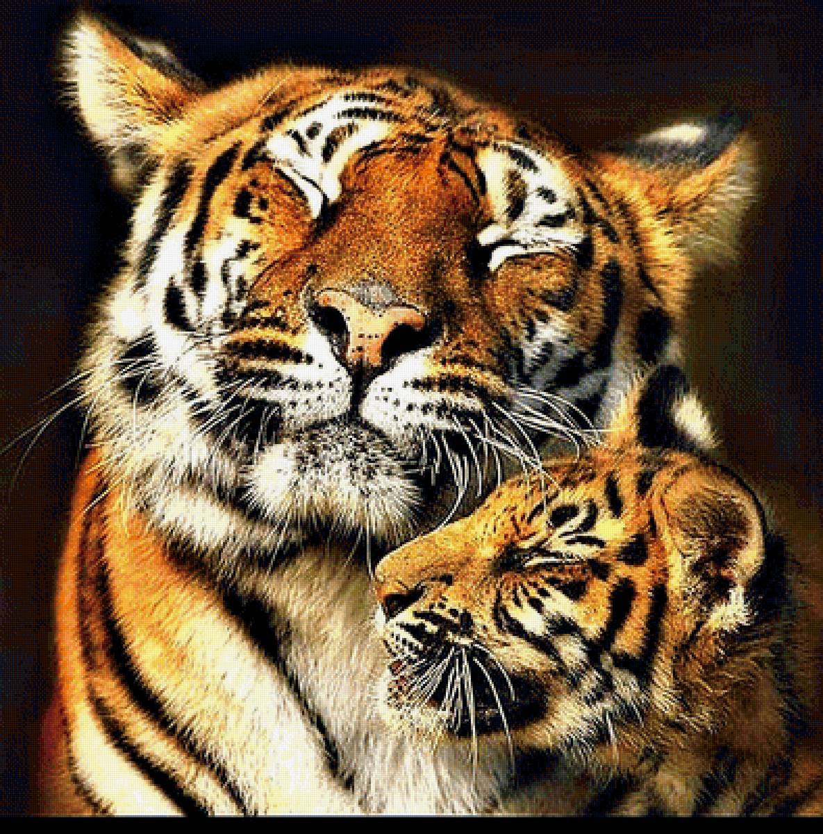 №1905909 - тигры - предпросмотр