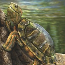 Схема вышивки «№1905923»