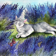 Кот в лаванде.