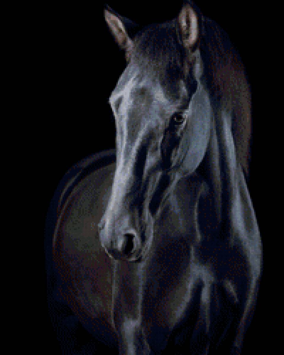 лошадь - лошади - предпросмотр