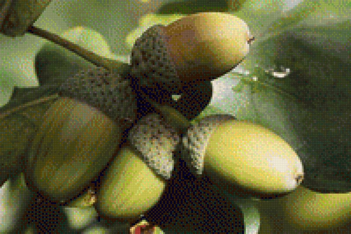 №1906249 - предпросмотр