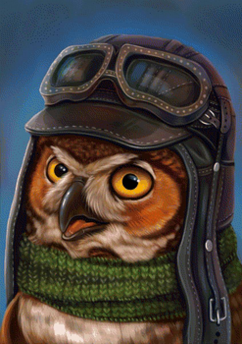 Сова - рисунок, сова, птица - предпросмотр