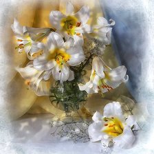 Схема вышивки «№1906770»