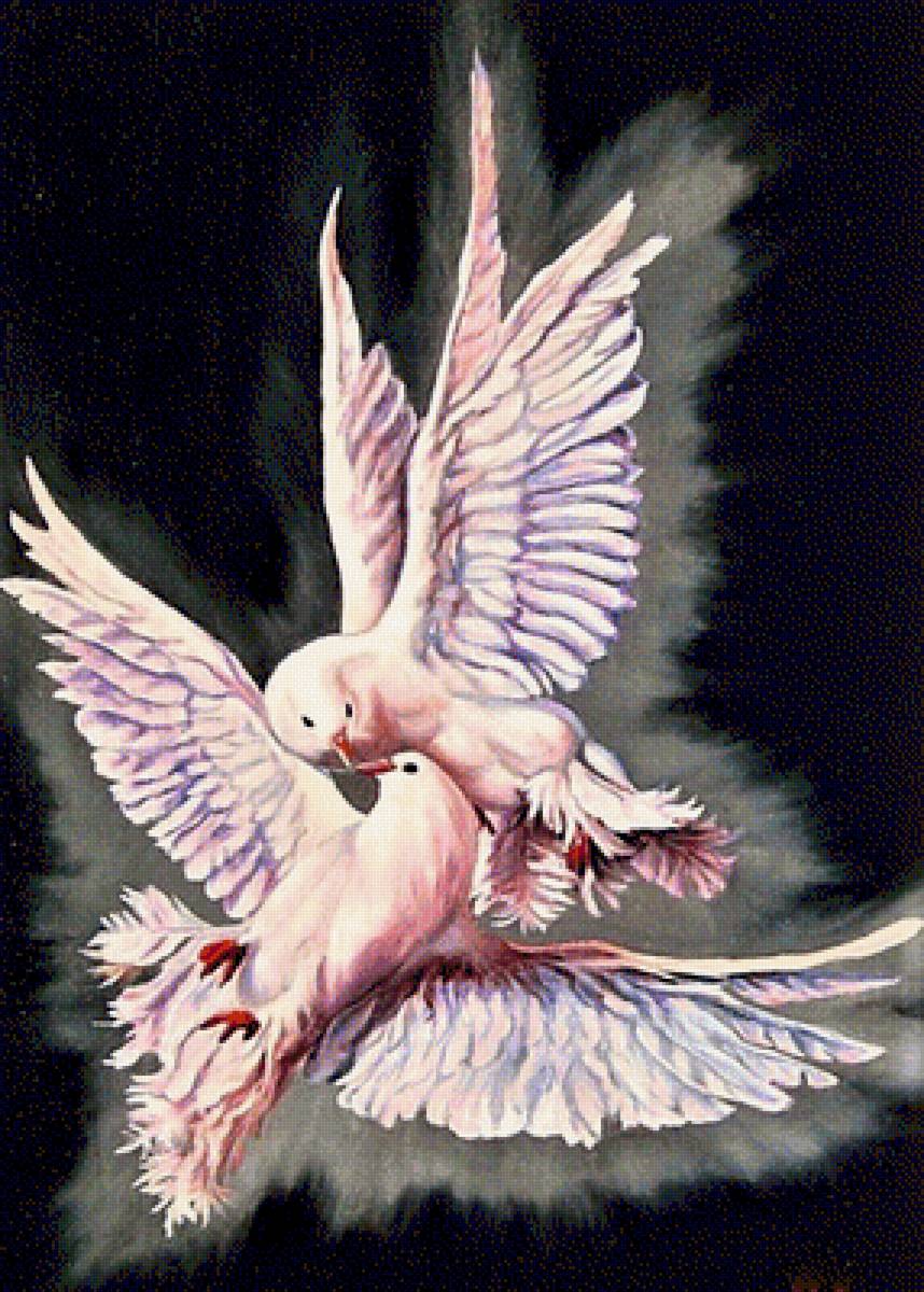 №1906845 - голуби - предпросмотр