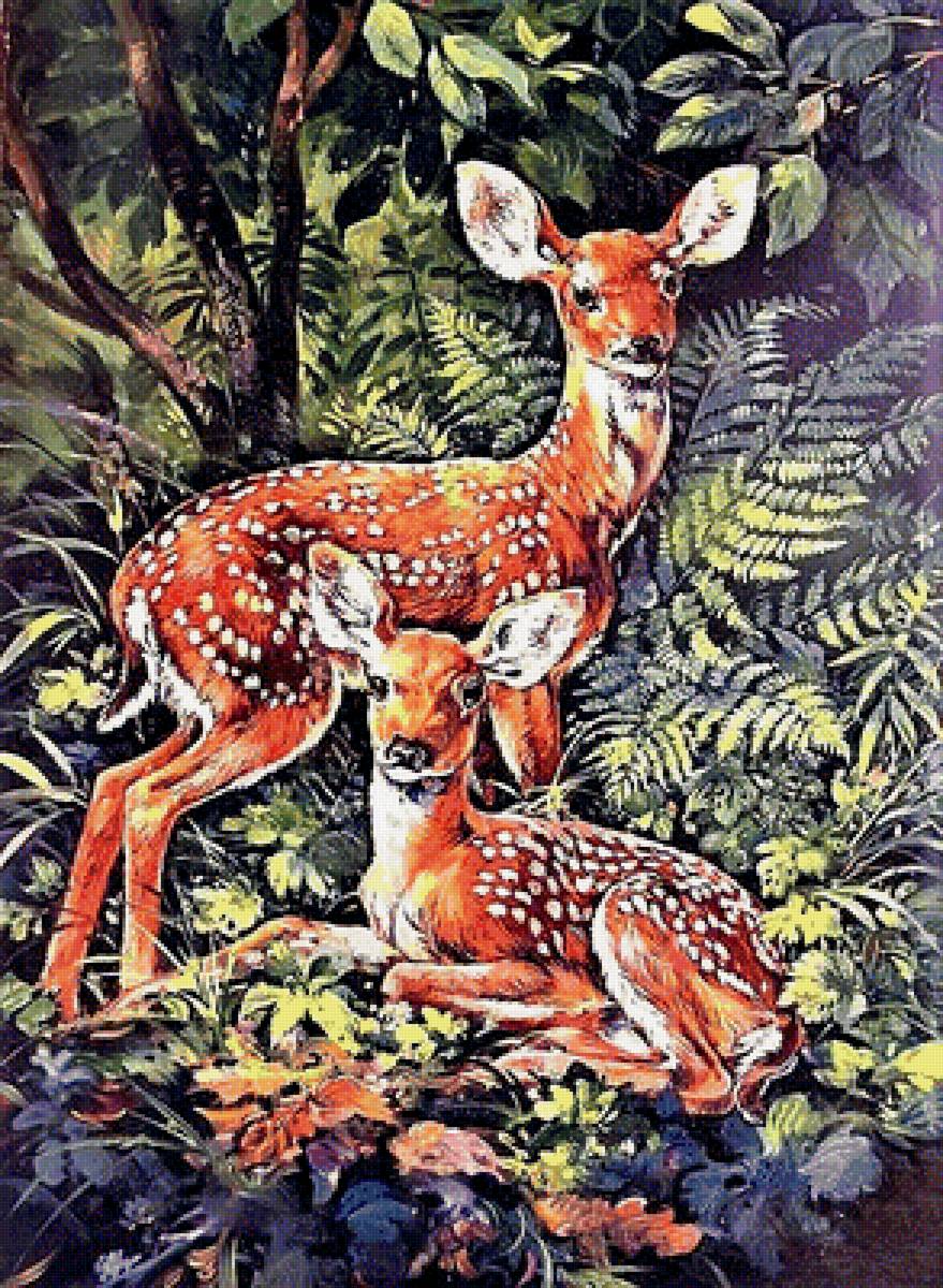 №1906846 - олени - предпросмотр