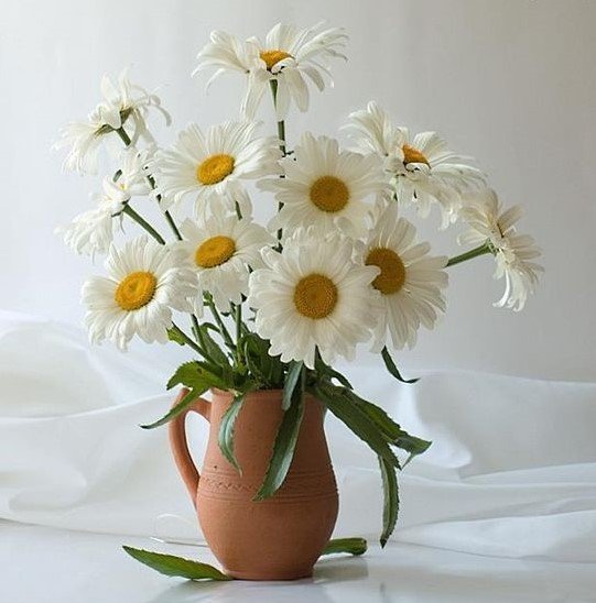 РОМАШКИ - ромашки - оригинал