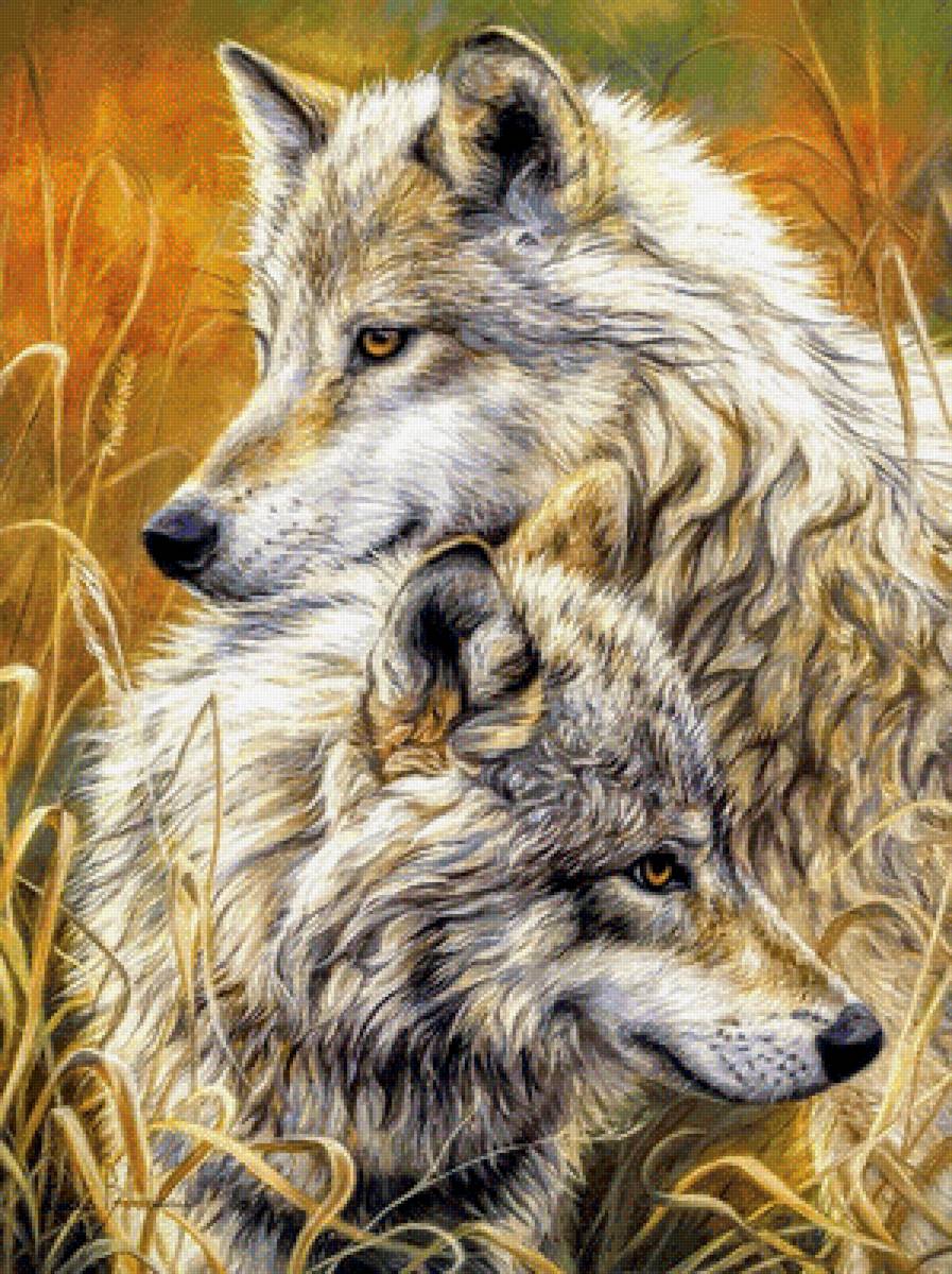 Мир животных - пара, арт, волки, любовь - предпросмотр