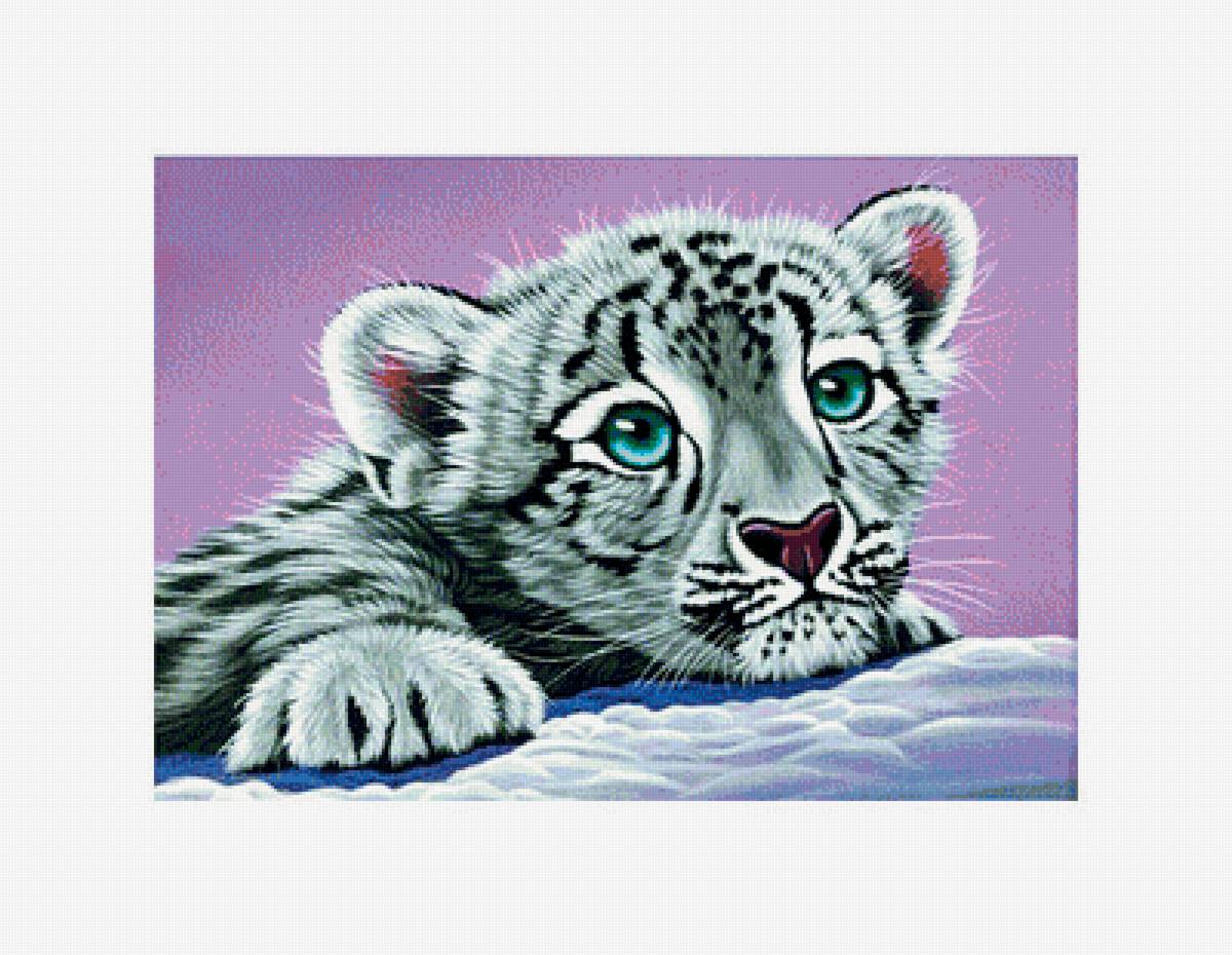 №1907119 - предпросмотр