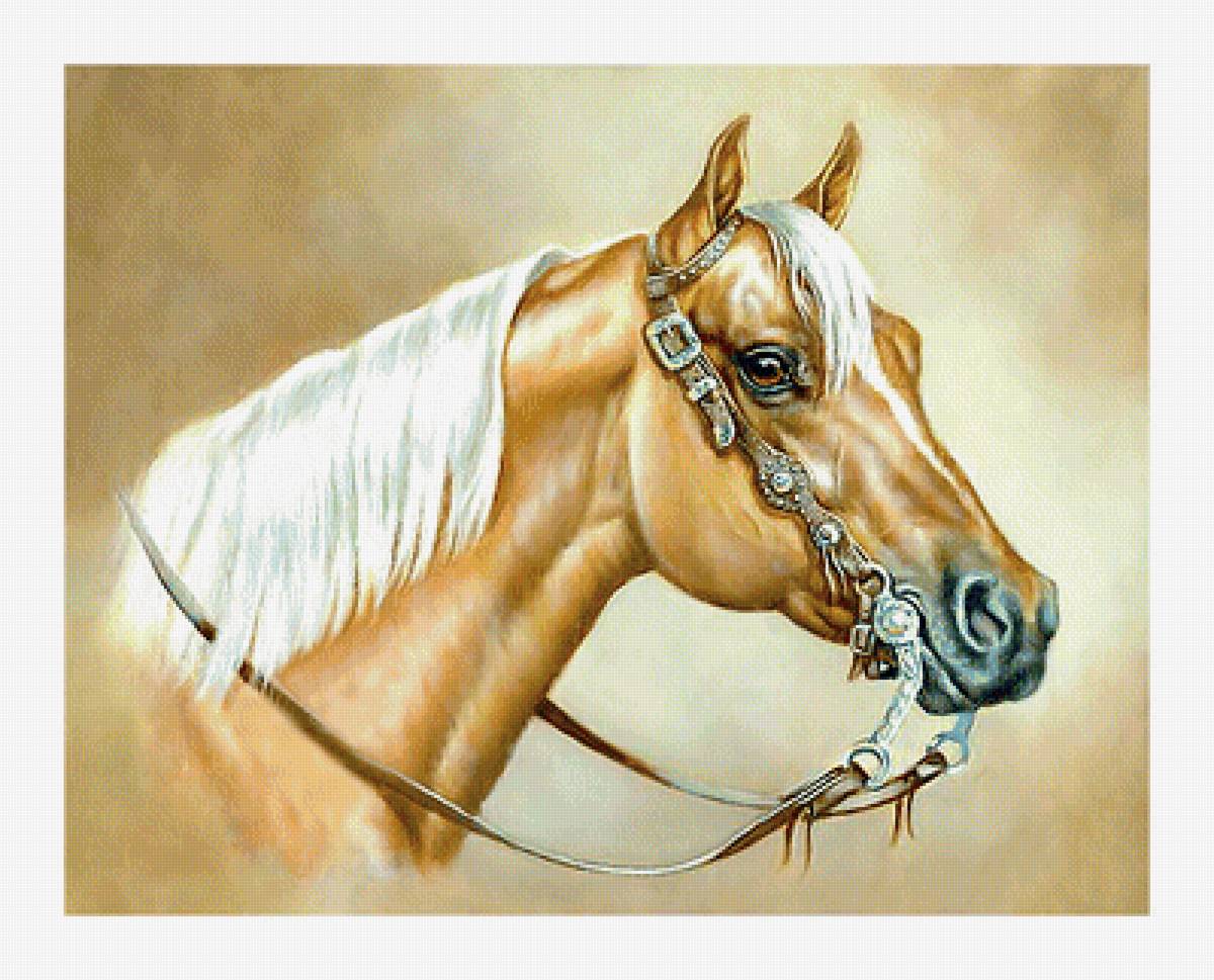 Серия "Кони" - кони, животные - предпросмотр